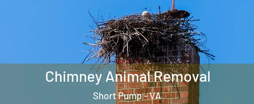  Chimney Animal Removal Short Pump - VA