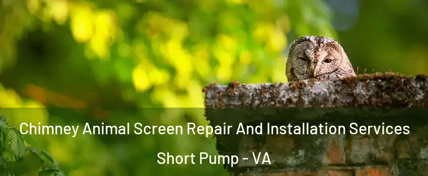  Chimney Animal Screen Repair And Installation Services Short Pump - VA