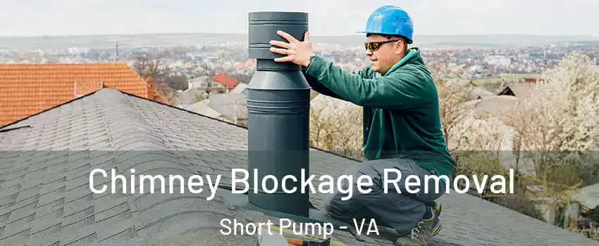  Chimney Blockage Removal Short Pump - VA