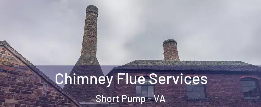  Chimney Flue Services Short Pump - VA