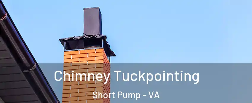  Chimney Tuckpointing Short Pump - VA