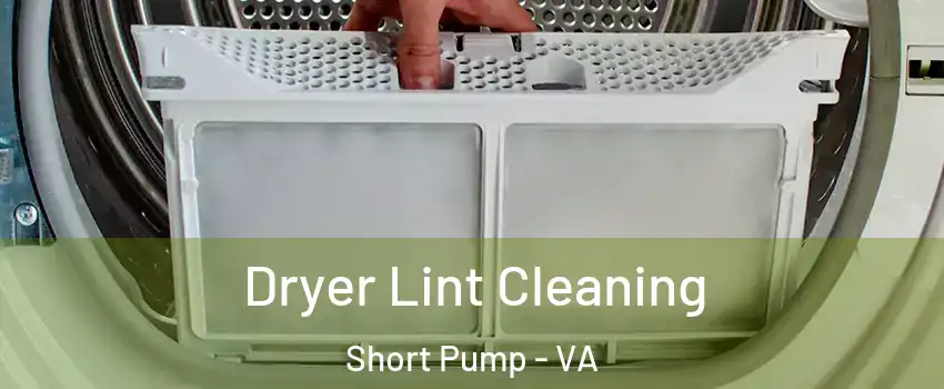  Dryer Lint Cleaning Short Pump - VA