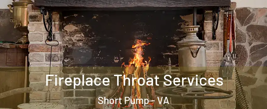  Fireplace Throat Services Short Pump - VA