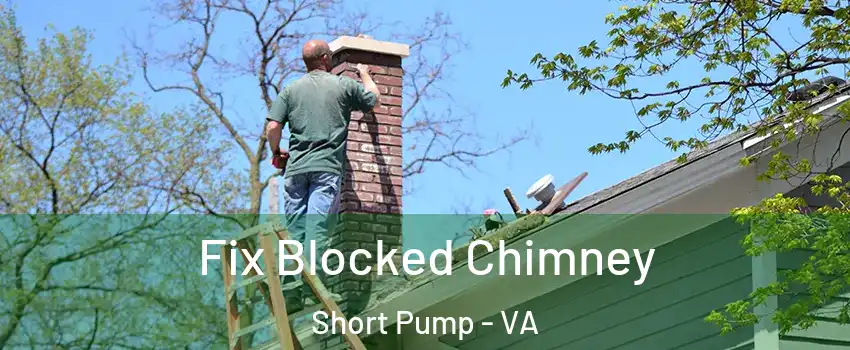  Fix Blocked Chimney Short Pump - VA