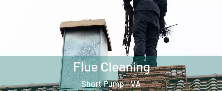  Flue Cleaning Short Pump - VA