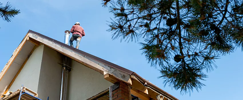 Birds Removal Contractors from Chimney in Short Pump, VA